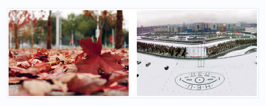703a6caffd867a33ca49e5e17e36b45a.png